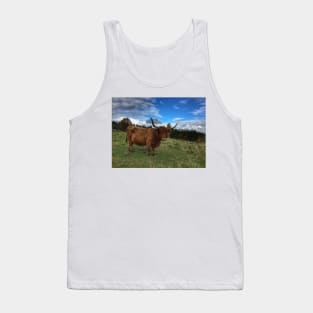 Scottish Highland Cattle Cow 1562 Tank Top